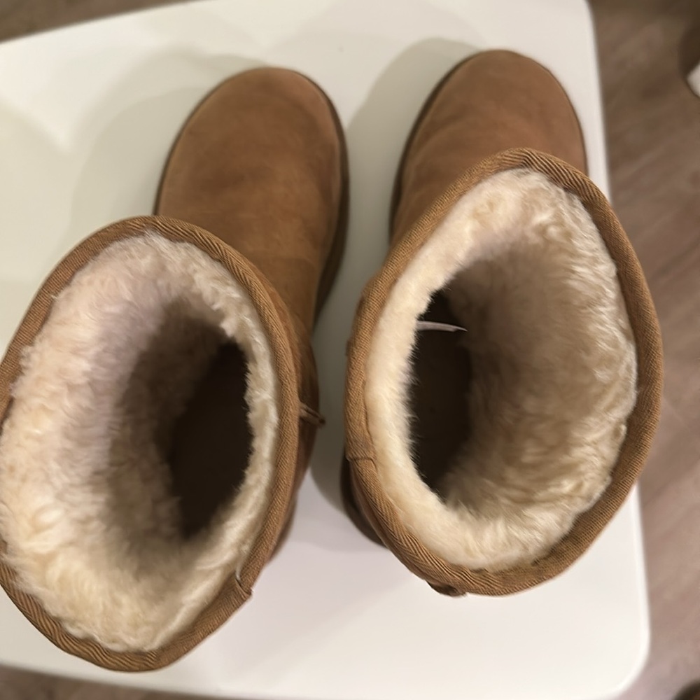 Classic Uggs - image 5